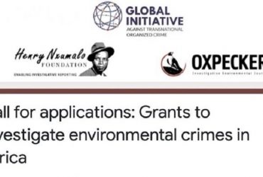 Subventions pour enquêter sur les crimes environnementaux en Afrique